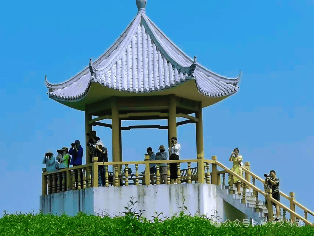 淳美高淳，金翼驰骋丨第五届中国金翼车友盛会圆满落幕