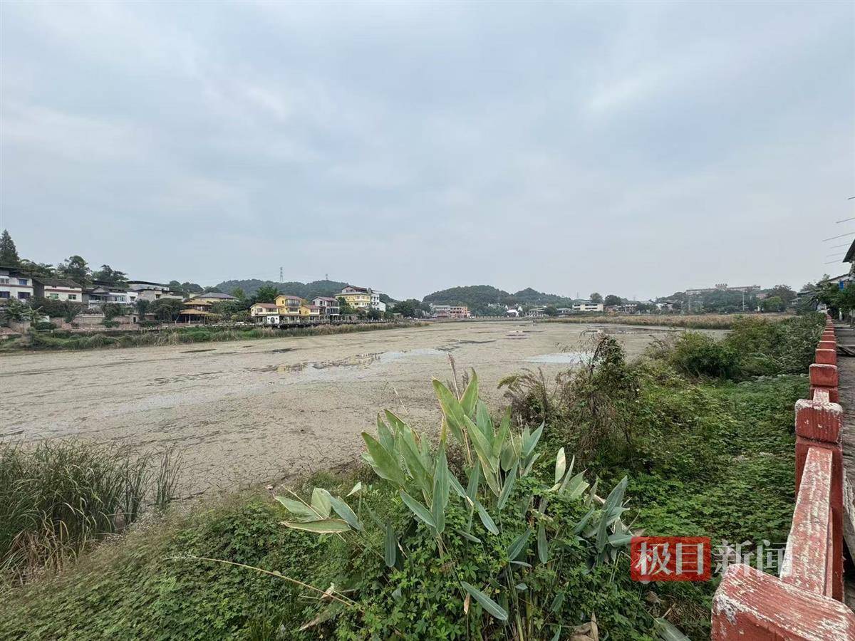 极目调查|重庆下天池水库塌坑：周边曾多次发生塌陷，当地投入近千万对大坝除险加固