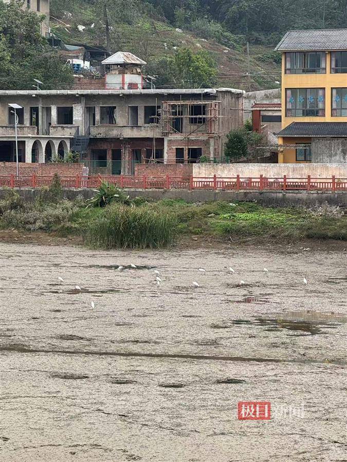 极目调查|重庆下天池水库塌坑：周边曾多次发生塌陷，当地投入近千万对大坝除险加固