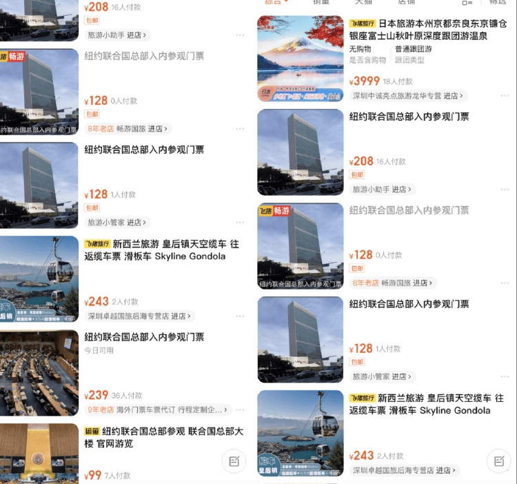 网红涌向联合国“开会”