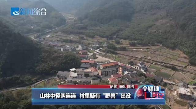 绍兴王坛疑似有野兽出没？村民称多次在山上听到“连连怪叫”
