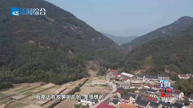 绍兴王坛疑似有野兽出没？村民称多次在山上听到“连连怪叫”