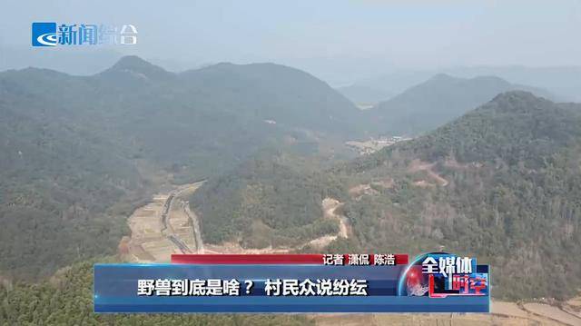 绍兴王坛疑似有野兽出没？村民称多次在山上听到“连连怪叫”