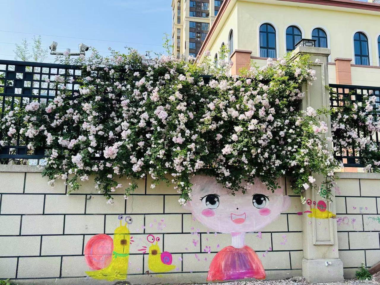 “网红花墙，安排！”杭州一幼儿园秒变打卡地