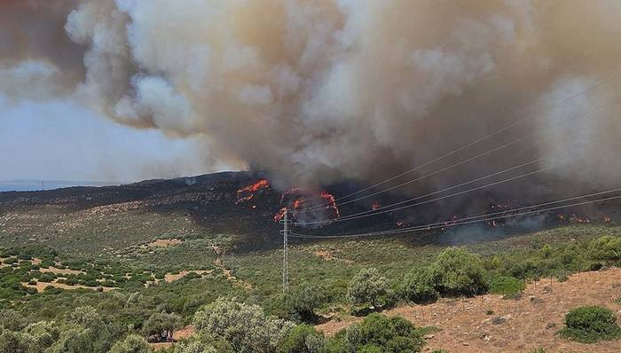 最高气温超过44℃、核电减产,欧洲多国再遭热浪袭击