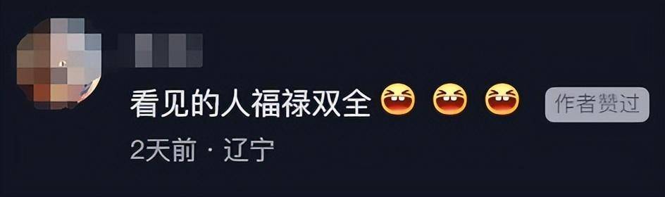 一个葫芦,怎么就惹了众怒?