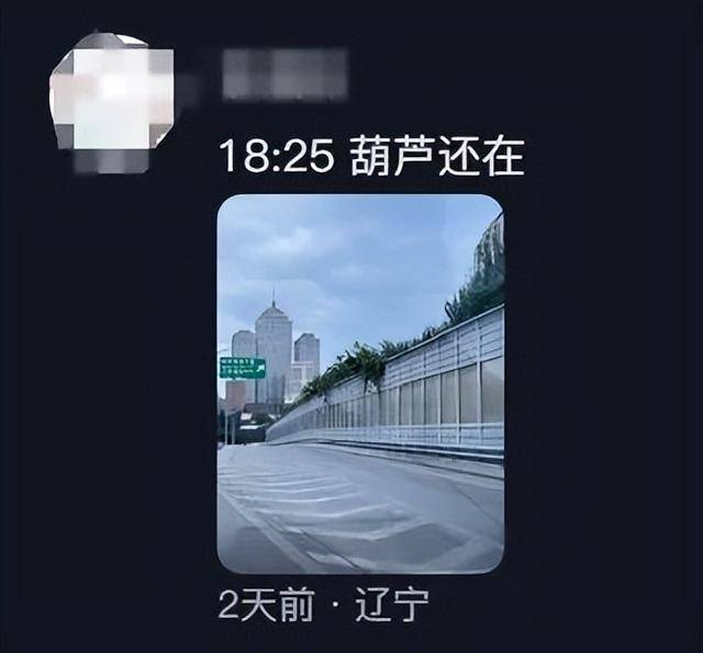 一个葫芦,怎么就惹了众怒?