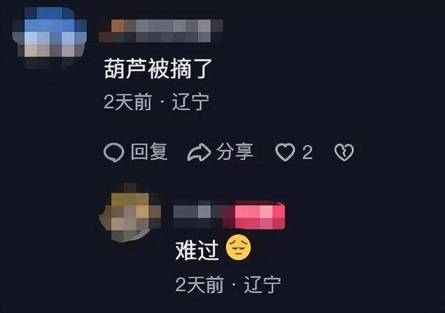 一个葫芦,怎么就惹了众怒?