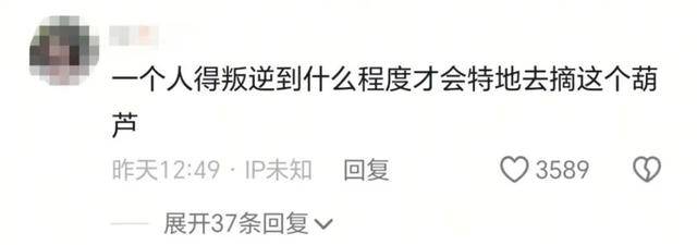 一个葫芦,怎么就惹了众怒?