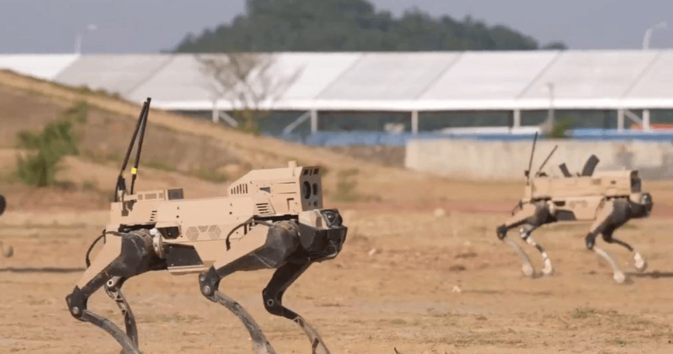 解放军“机器狼”投入台海,集群抢滩动作丝滑