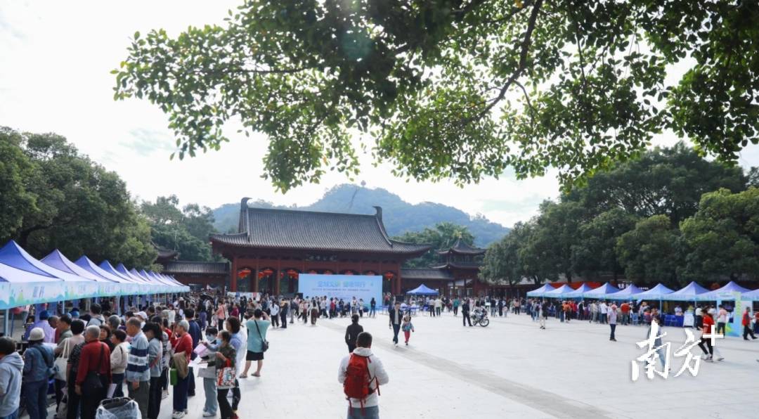 不用挂号!东莞黄旗山排起长龙,他们都是为了这场义诊