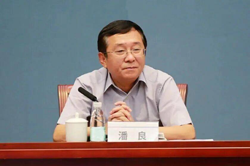 退而不休、作风败坏,国务院国有资产监督管理委员会原副部长级干部潘良被公诉