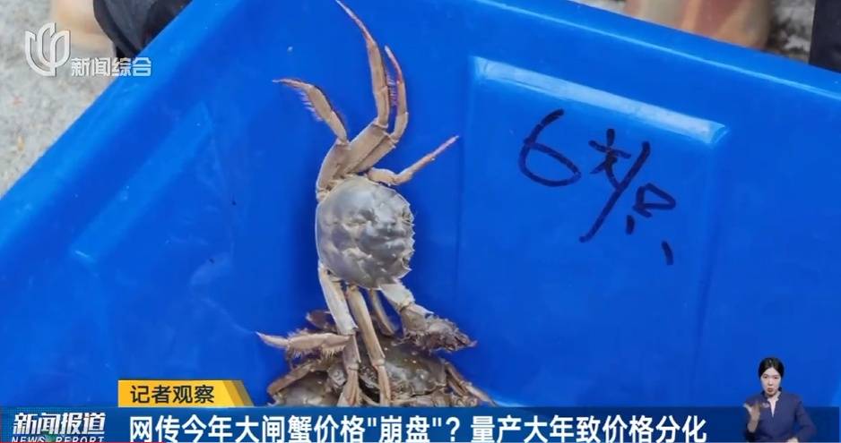 价格“崩了”,有些跌至5元一只!这种美味已大量上市,老板:再等等,更肥更便宜……