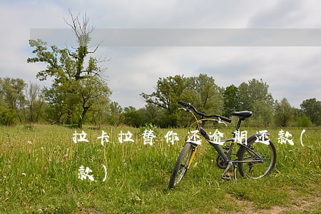 卡拉证券(卡拉奇证券交易所袭击)