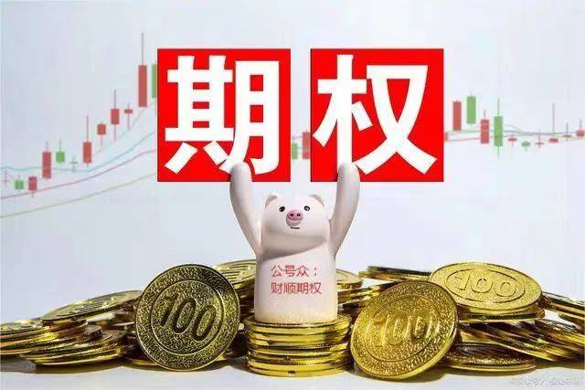备兑证券(备兑权证所认兑的股票是)