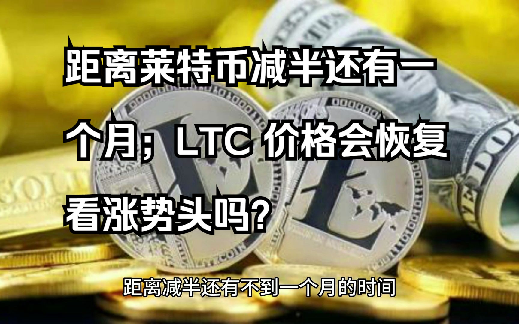 LTC-莱特币投资(ltc莱特币怎么赚钱)