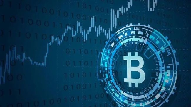 BSV-比特币投资(比特币投资平台app)
