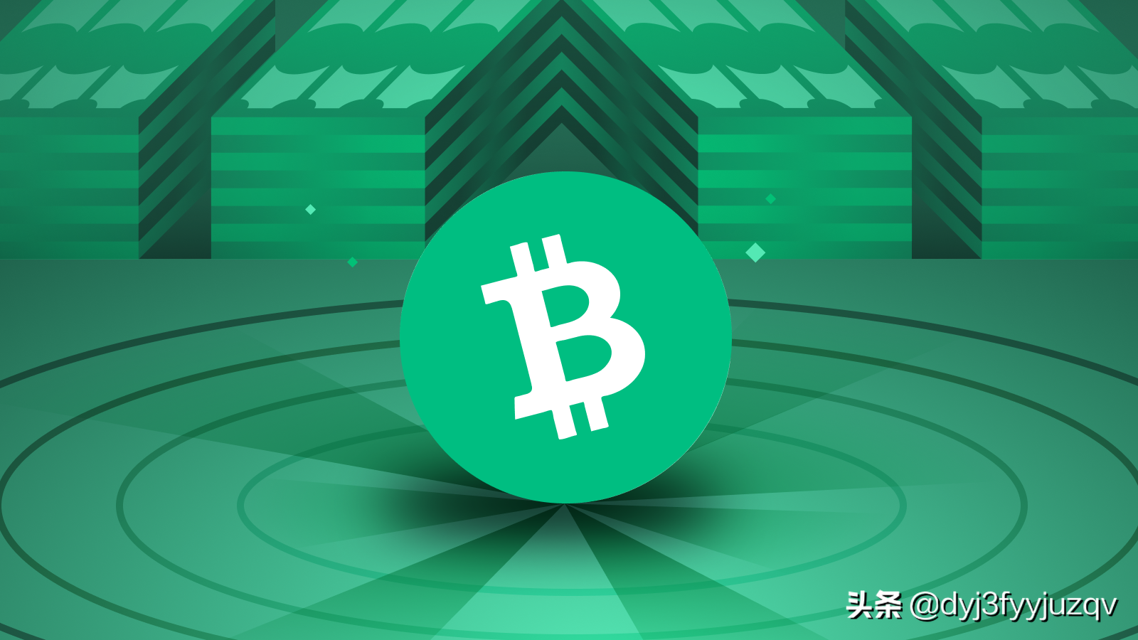 BCH-比特现金投资(比特现金交易所有风险吗)